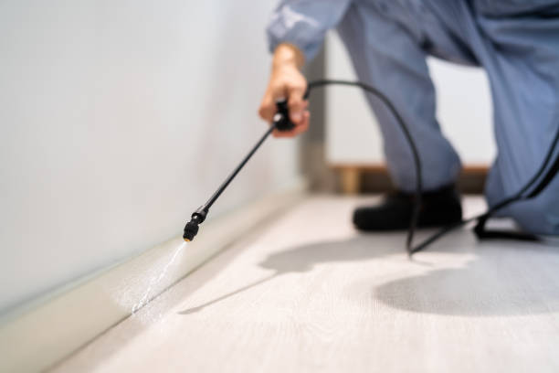 Rodent Entry Point Assessment in Trussville