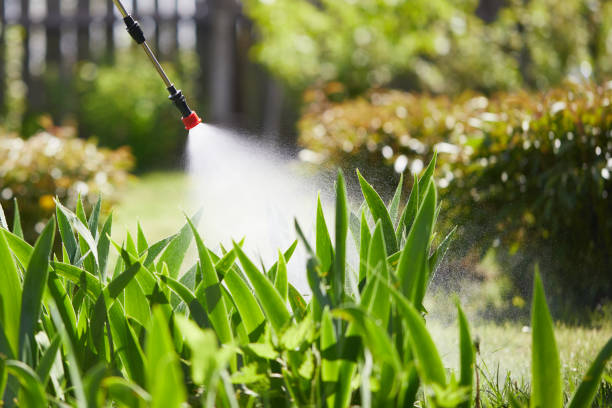 Tamper-Resistant Bait Stations for Rodents in Trussville