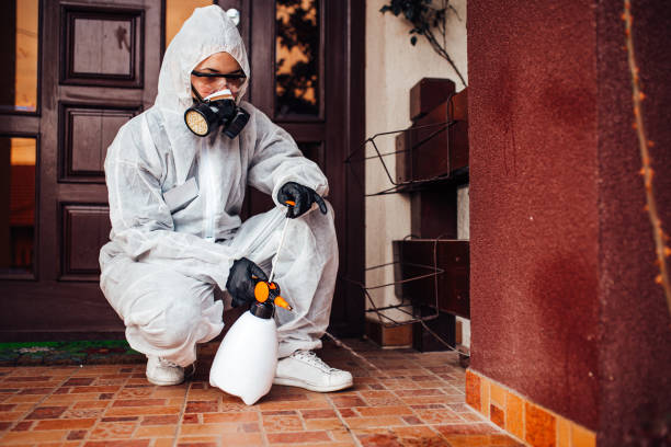 Attic and Crawl Space Rodent Treatment in Trussville