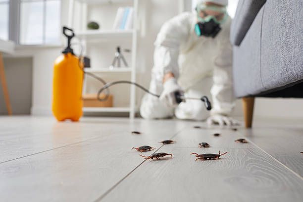 Commercial Rodent Management in Trussville